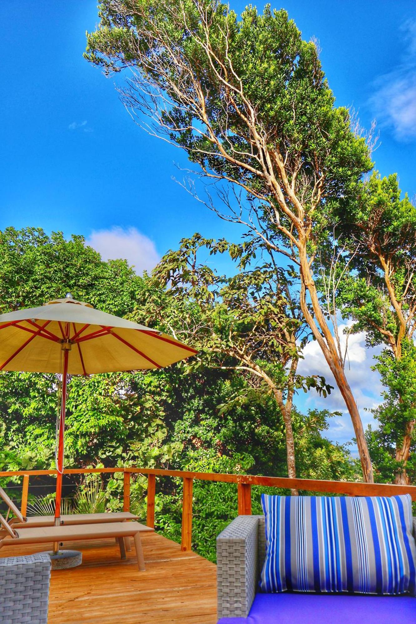 Blue Whale Villa Calibishie ภายนอก รูปภาพ